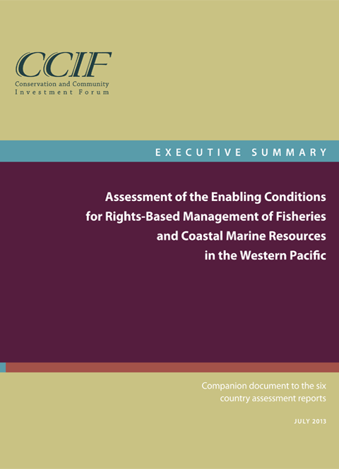 CCIF_ExecutiveSummary_TN