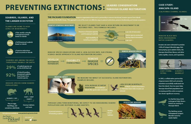 infographic