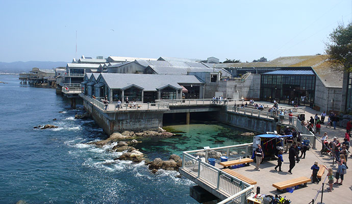 Monterey Bay Aquarium The David And Lucile Packard Foundation