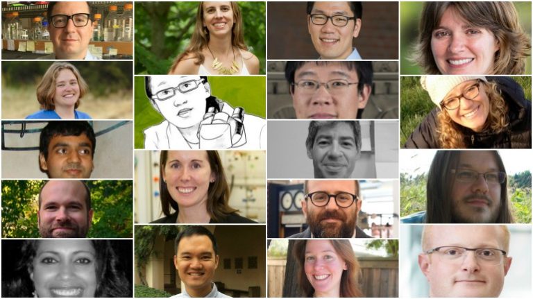 2015FellowsCollage