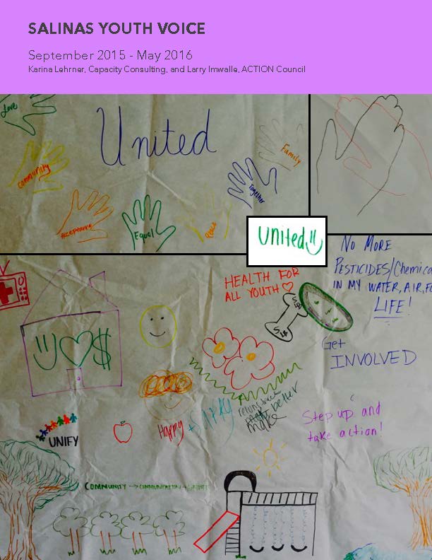 YouthVoiceReport2016_final 1