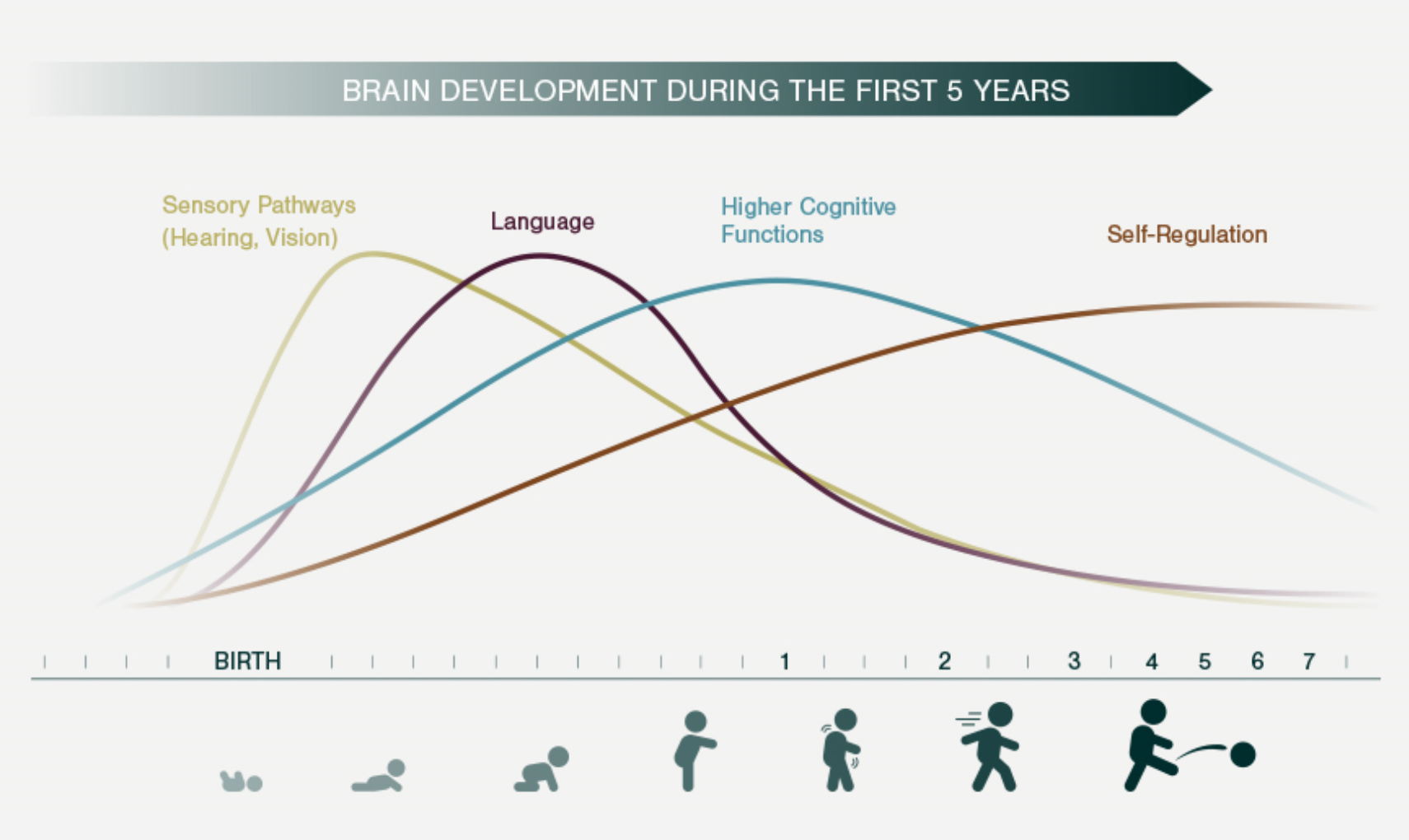 Child Development Chart First Five Years