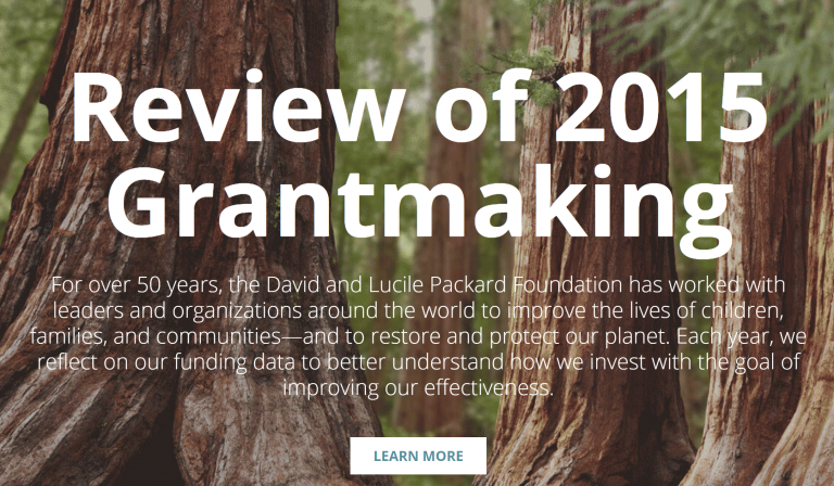 Review of 2015 Grantmaking