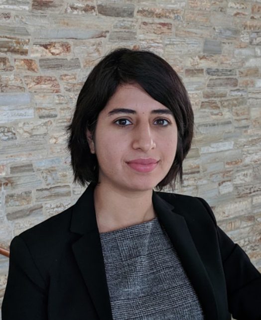 shilpa sachdev the david and lucile packard foundation