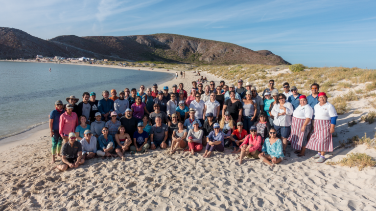 mxgroup111518 2