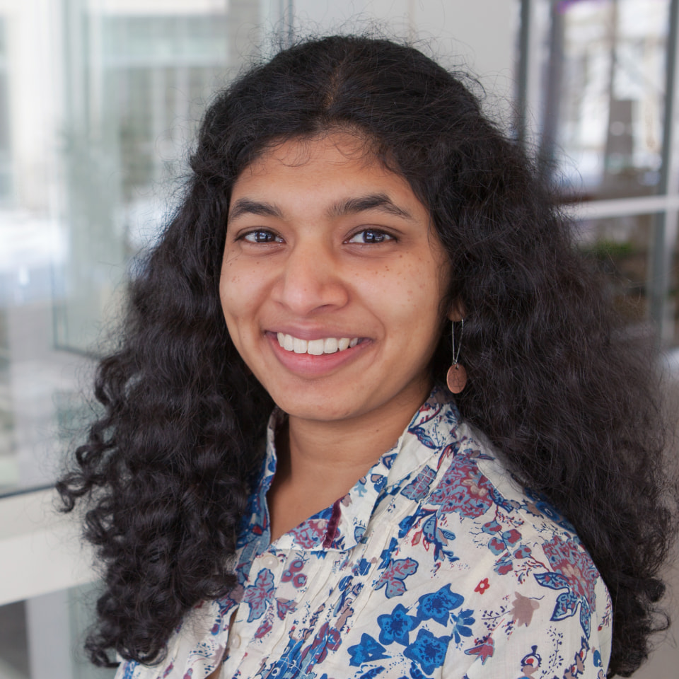 nayak-dipti