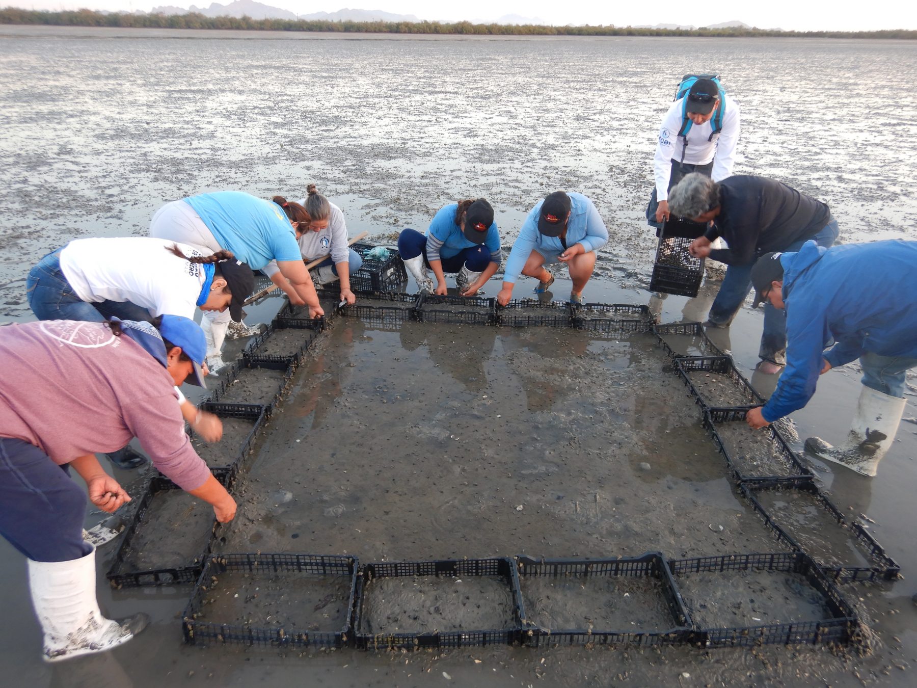 Women in Estuary 1