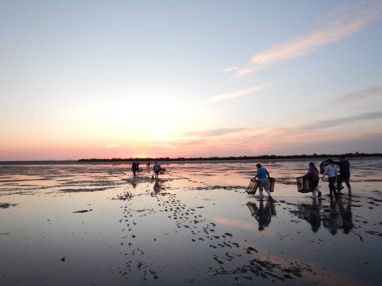 Women in Estuary 2