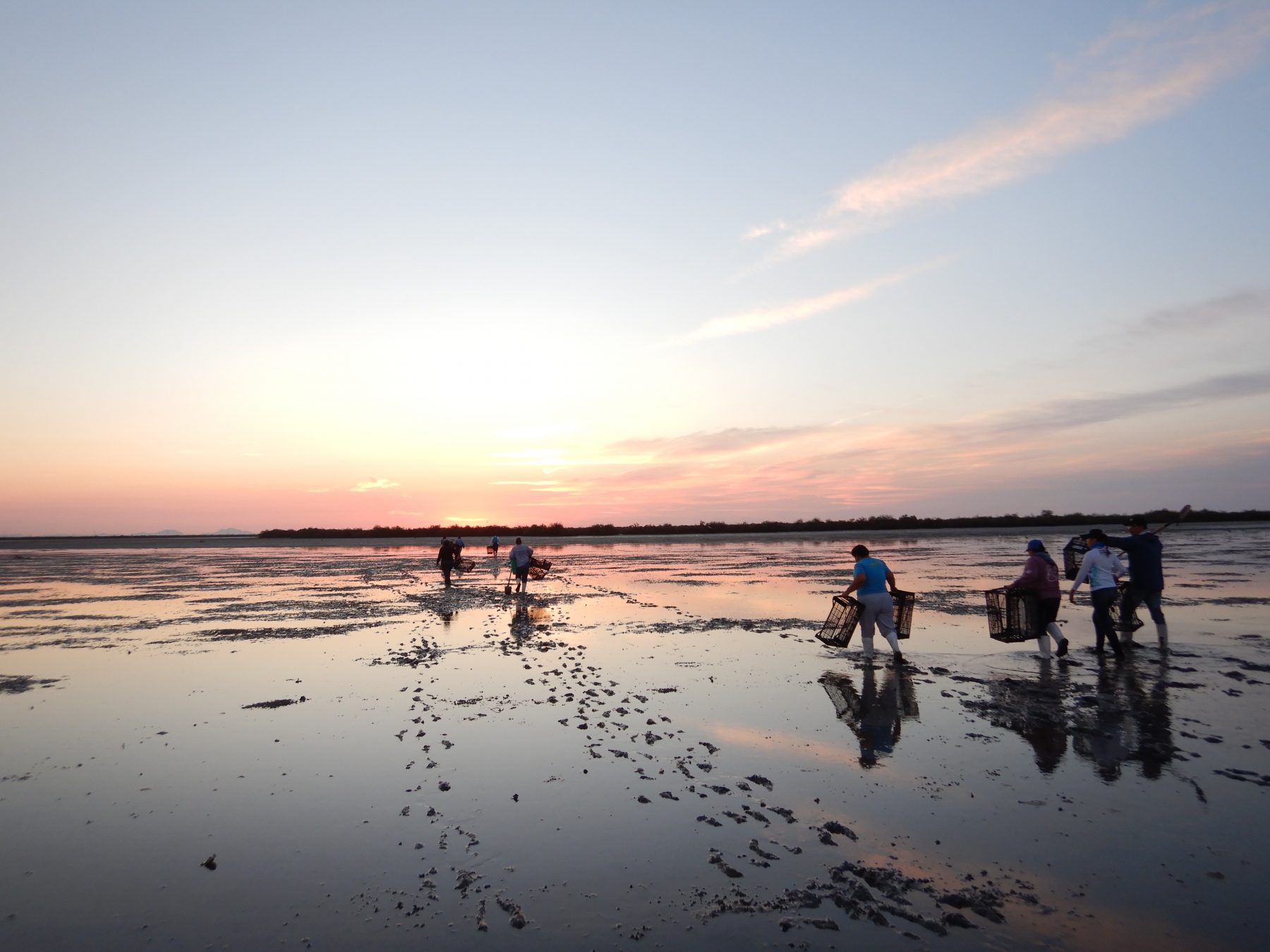 Women in Estuary 2