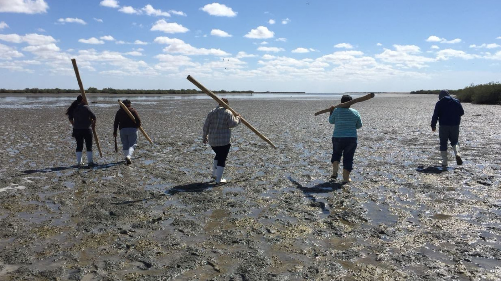 Women in Estuary 3
