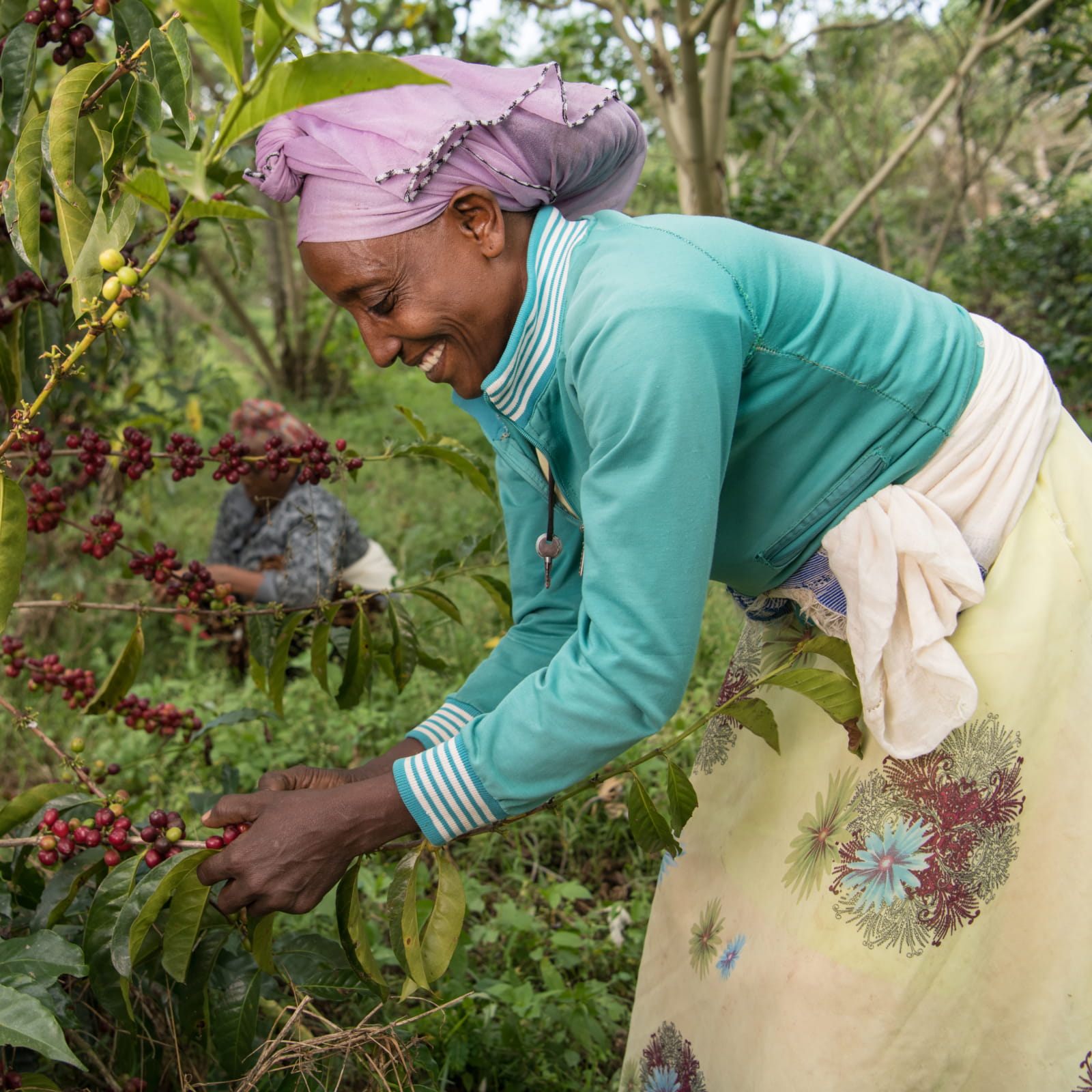 strengthening-communities-and-ecosystems