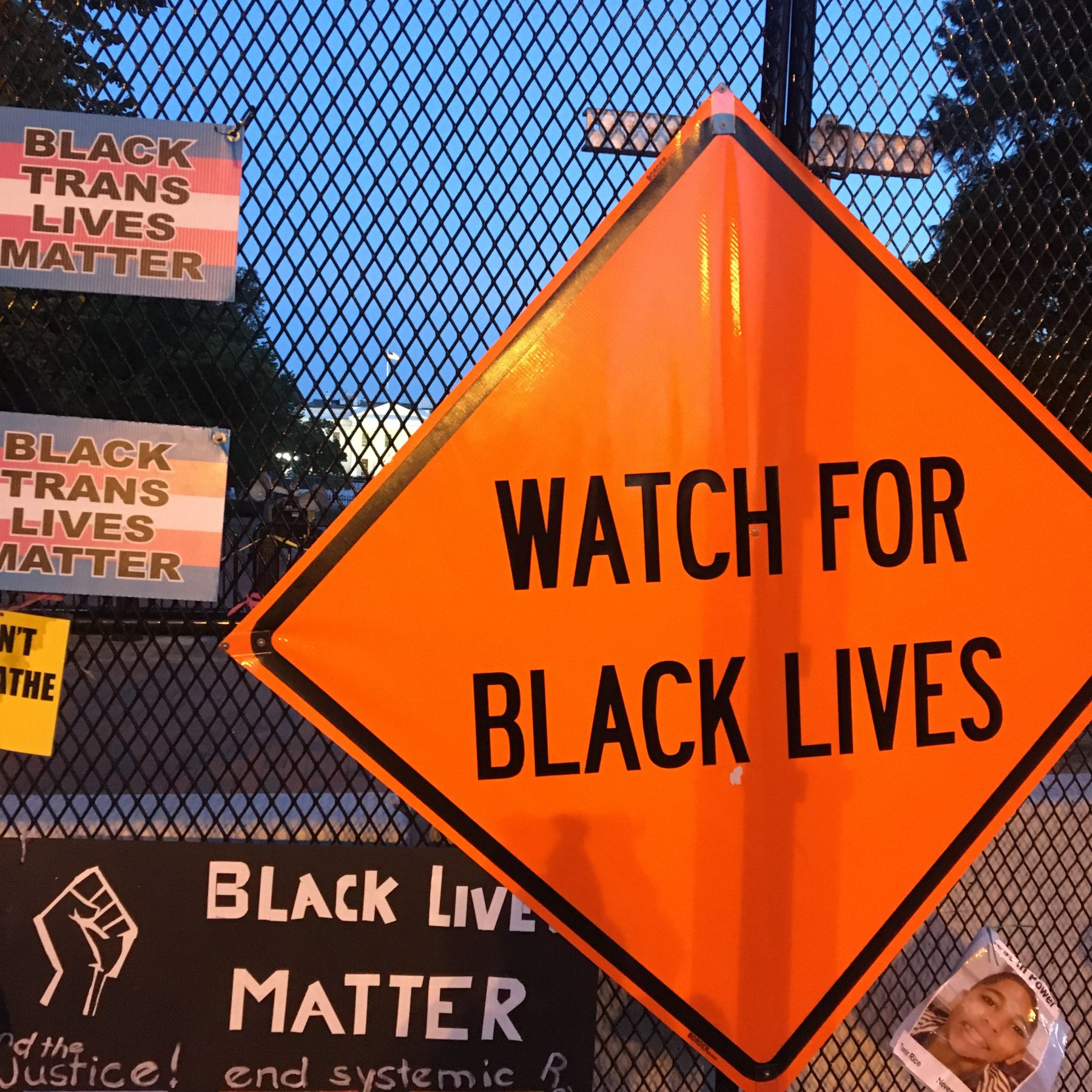 BLM sign protests DC 3