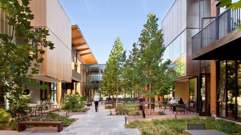 Outdoor courtyard with trees and seating at the Packard Foundation, featured image for the 2025 Grantee Perception Report