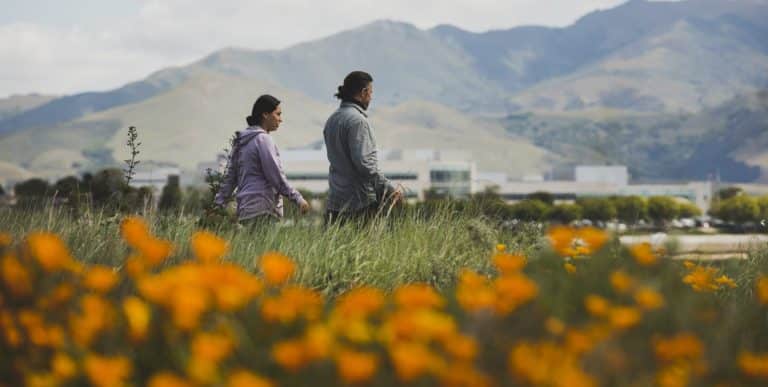 gurufuto. A walk through the thriving native garden in the heart of Salinas at Big Sur Land Trust’s Carr Lake Park project