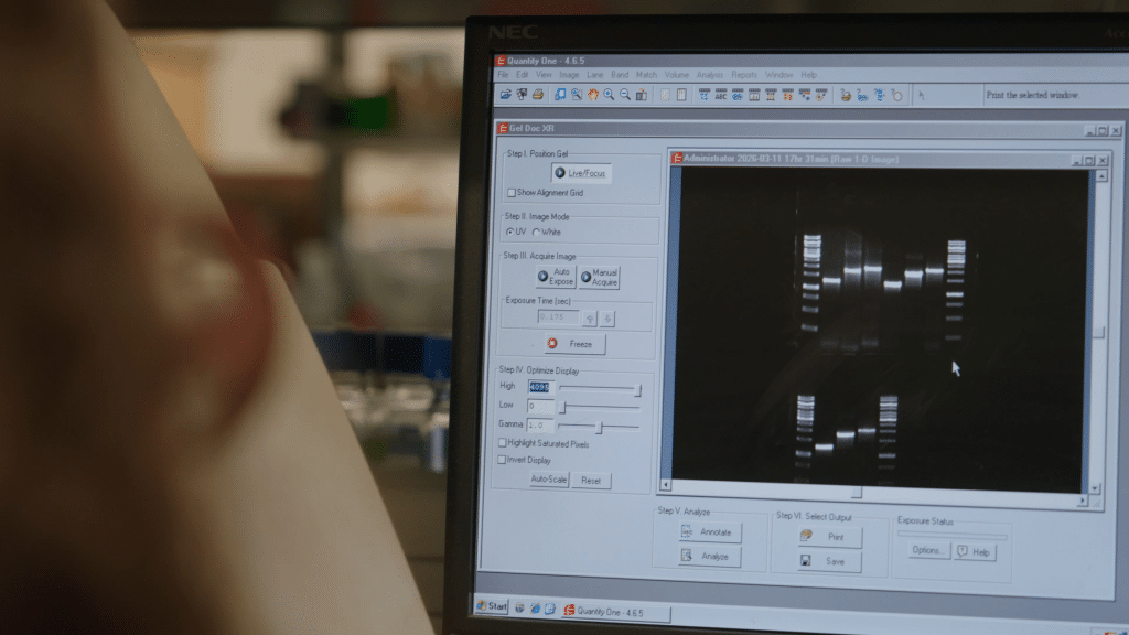 Packard Fellowship for Science and Engineering