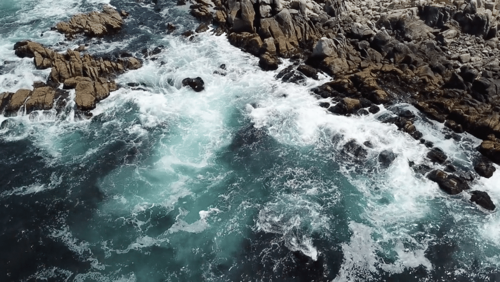 Aerial view of the Pacific Ocean coastline, representing ocean conservation and US marine stewardship