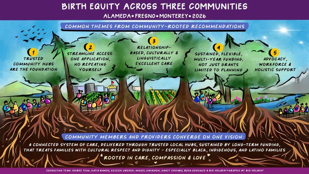 Birth Equity Across Three Counties: Common Themes From Community-Rooted Recommendations